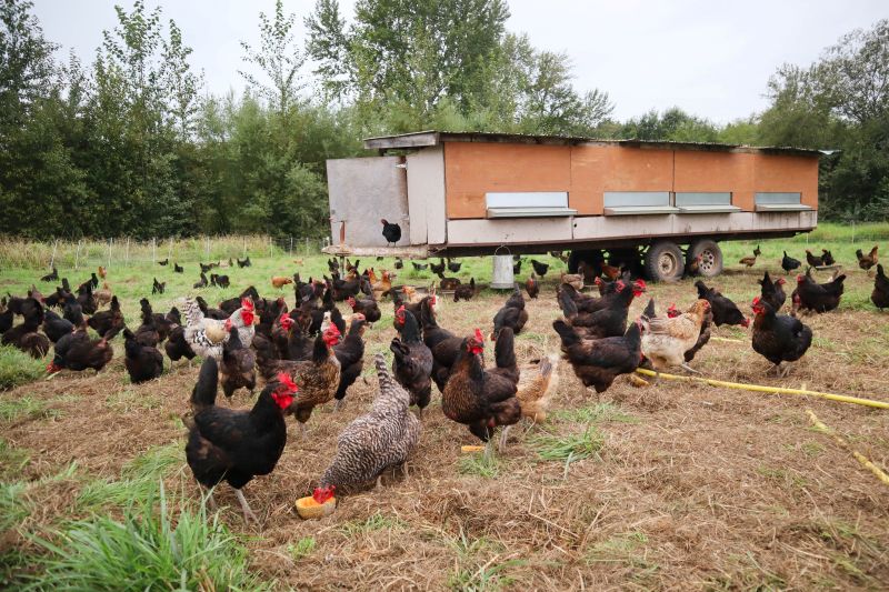 Whole Farm Planning
