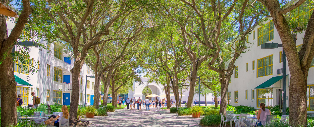 University of Miami 