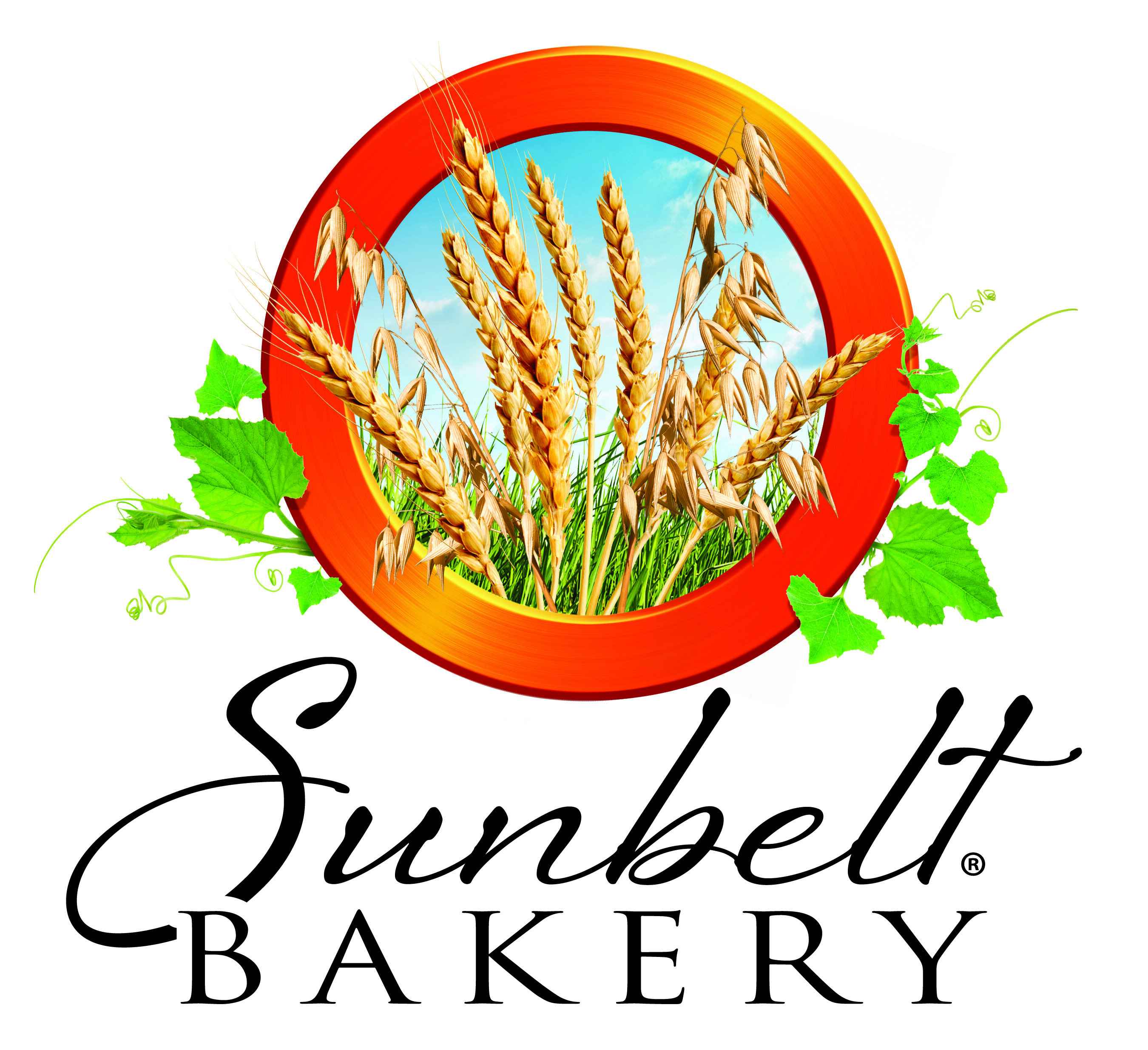 Athletic Band Fundraiser 2025 (Sunbelt Bakery Value Pack Fudge Dipped Chocolate Chip Chewy Granola Bars)