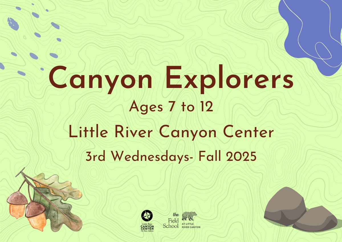 Canyon Explorers - Fall 2025 - 3rd Wednesday- Ages 7 to 12