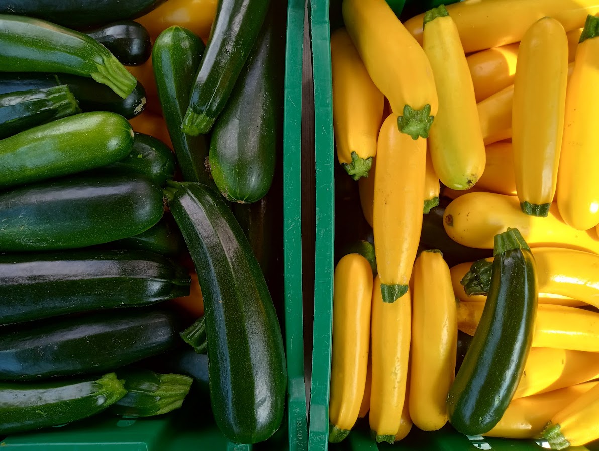 Zucchini, green and yellow