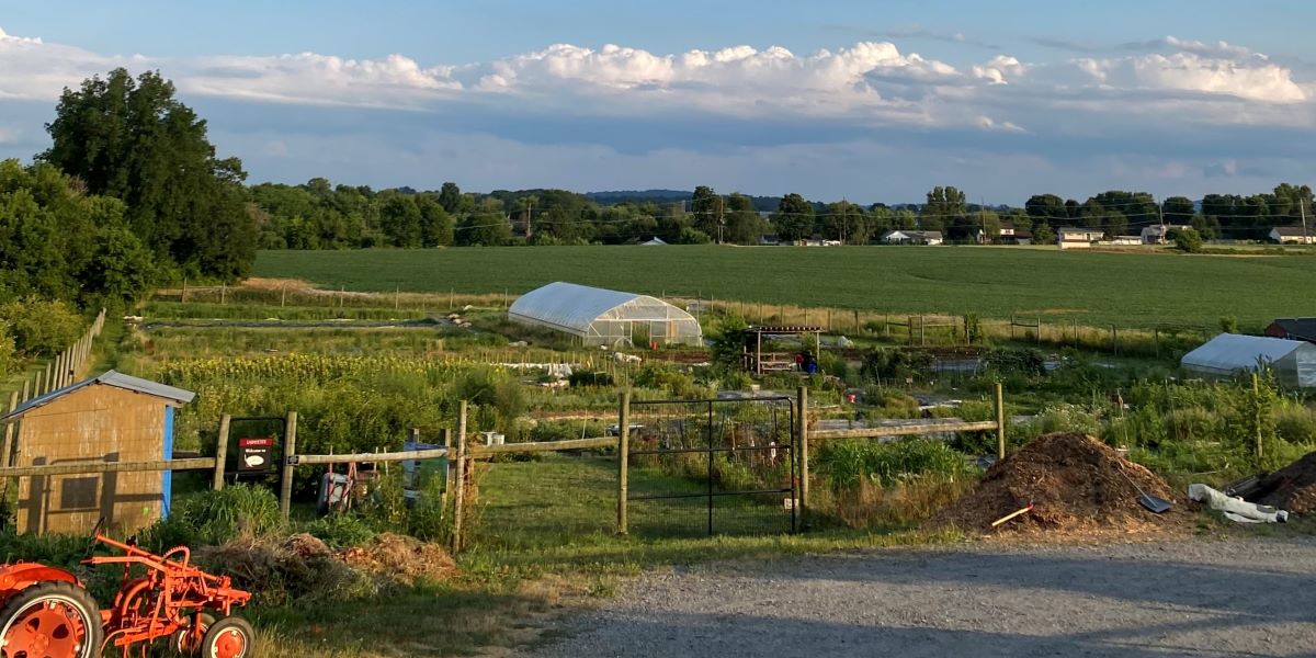 Community Garden