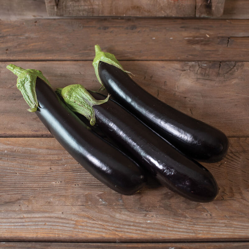 Eggplant, Asian