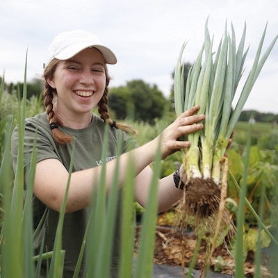 Scallions