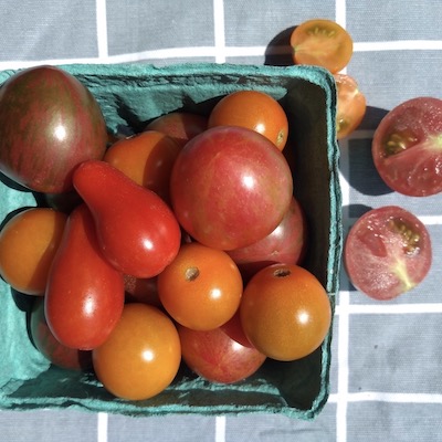 Tomatoes, Cherry