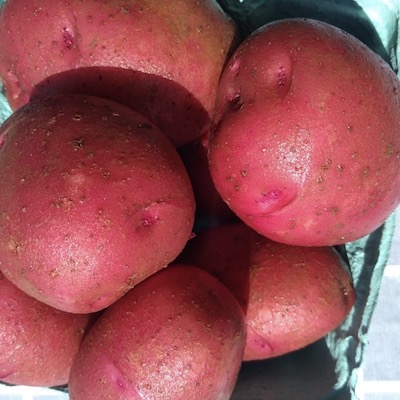 Potatoes, Red