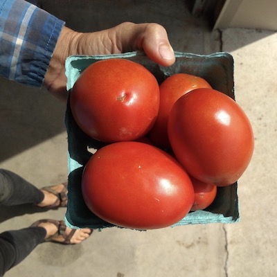 Tomatoes, Roma