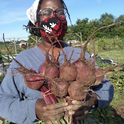 Beets