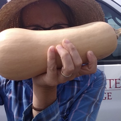 Butternut Squash
