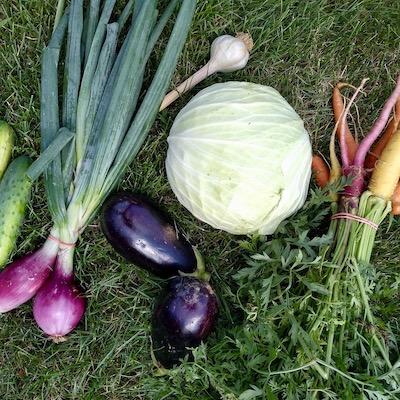 Spring Onions