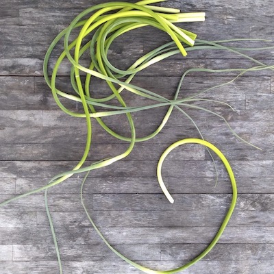 Garlic Scapes