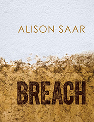 Alison Saar: Breach