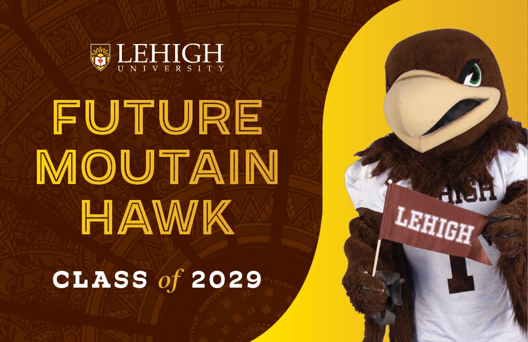 18x24 INC Class of 2029 Lawn sign #3