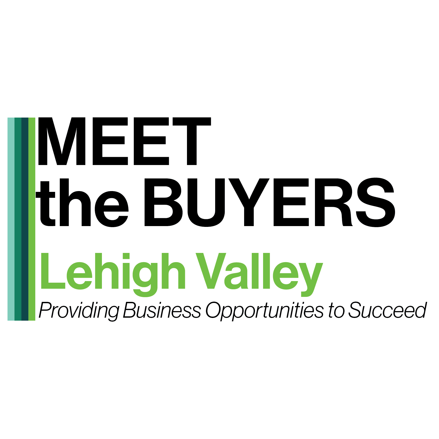 LV Meet the Buyers 2024