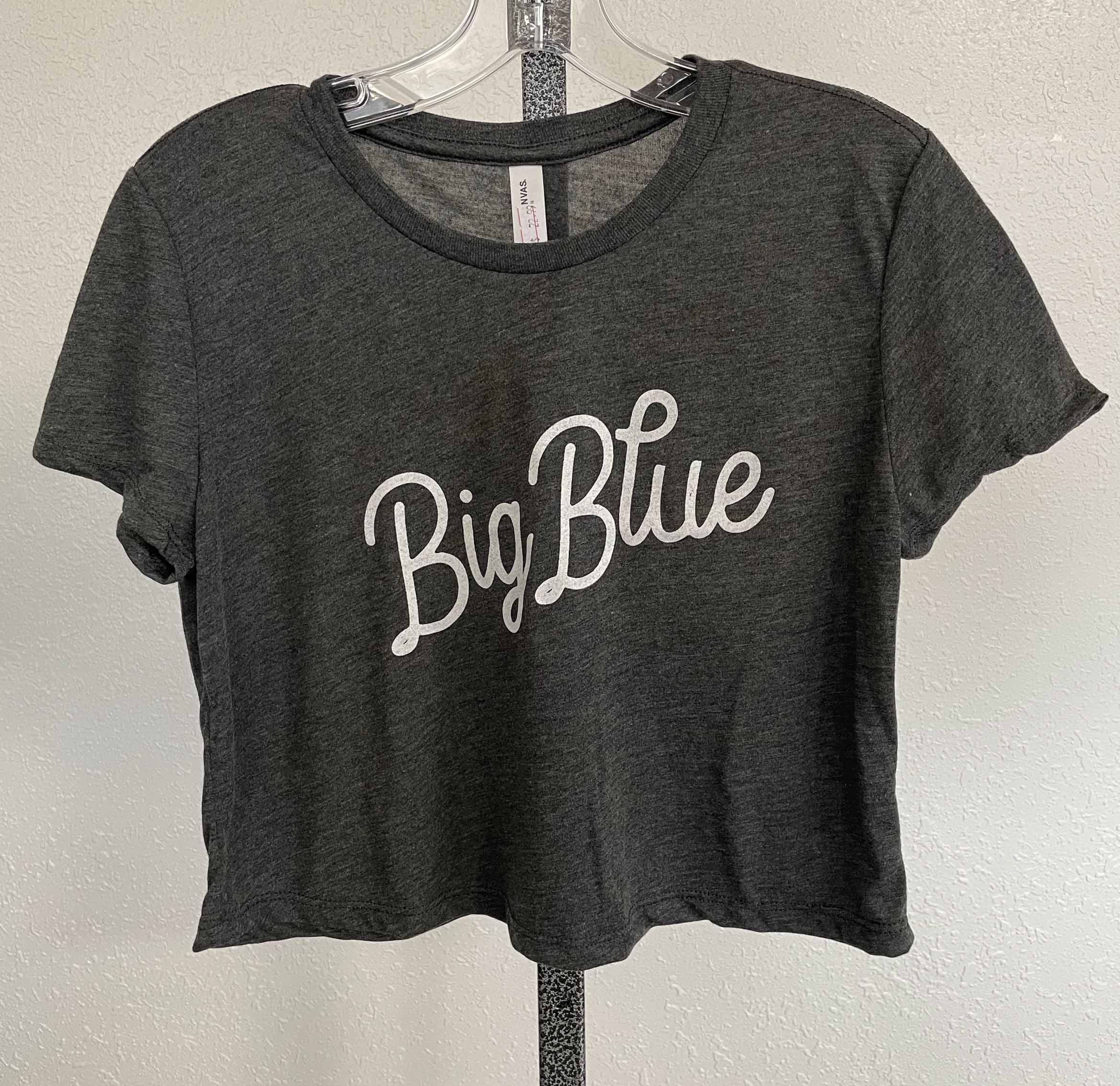 Millikin Big Blue Crop Top