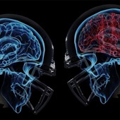 Sports Vision and Concussion Club (SVCC)