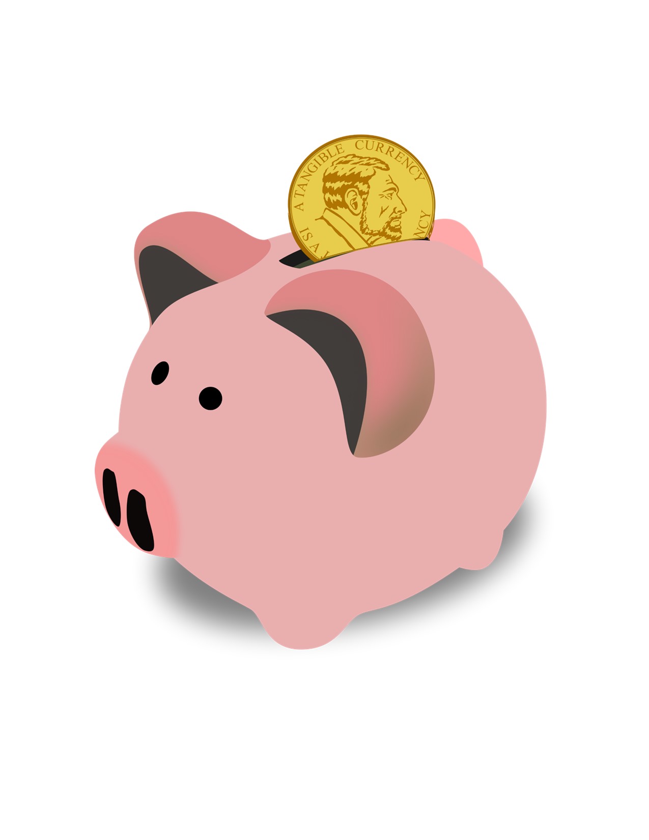 My First Piggy Bank: (Kindergarten-2nd Grade)
