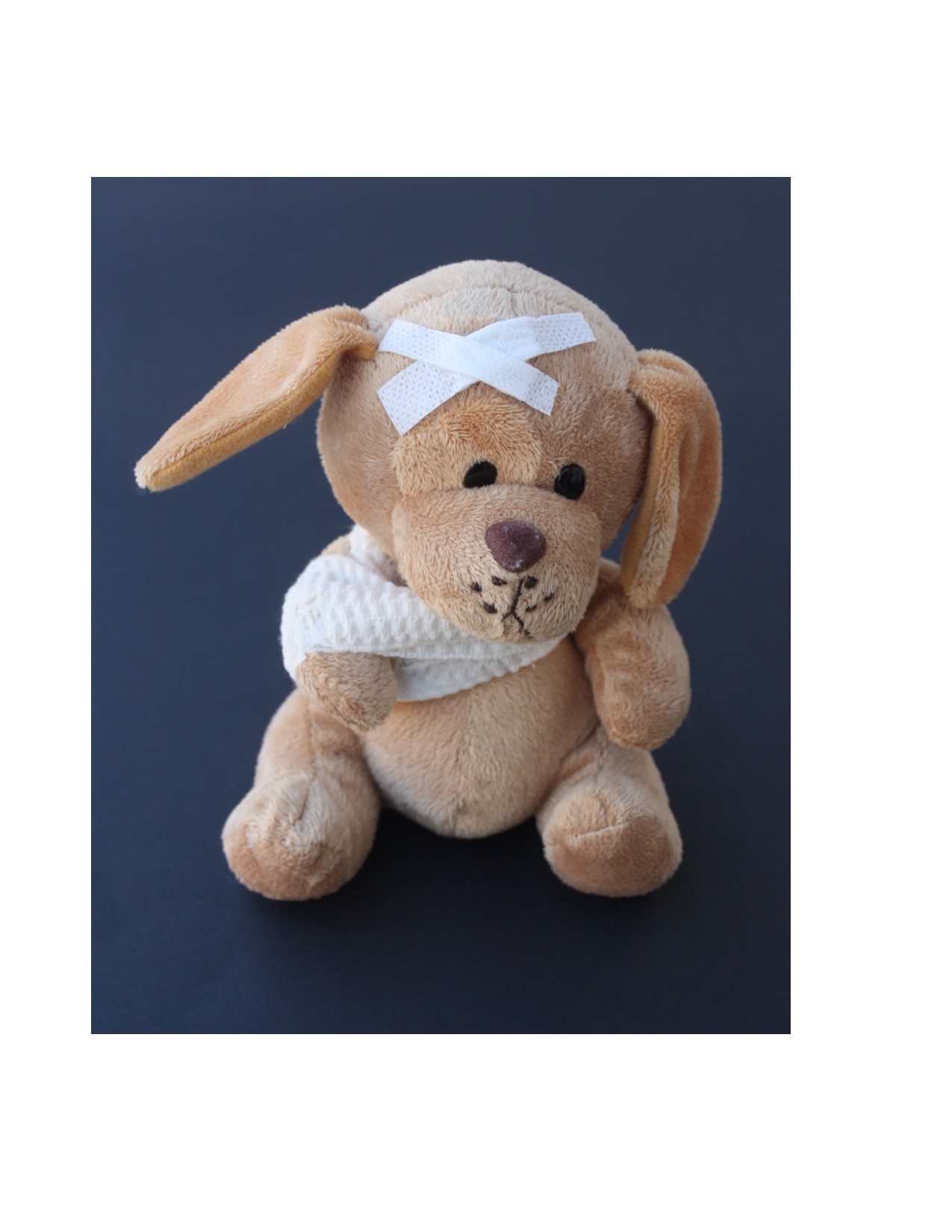 Little Vet School-Doggy Parts: (Kindergarten-2nd Grade)