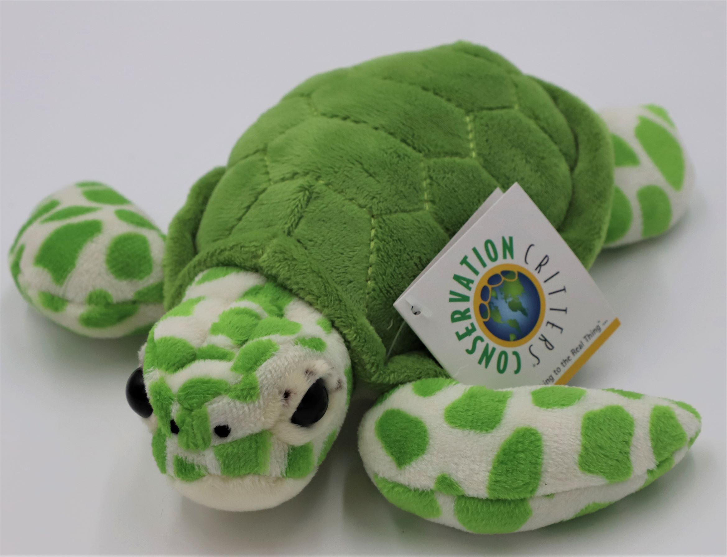 Conservation Critters-Green Sea Turtle
