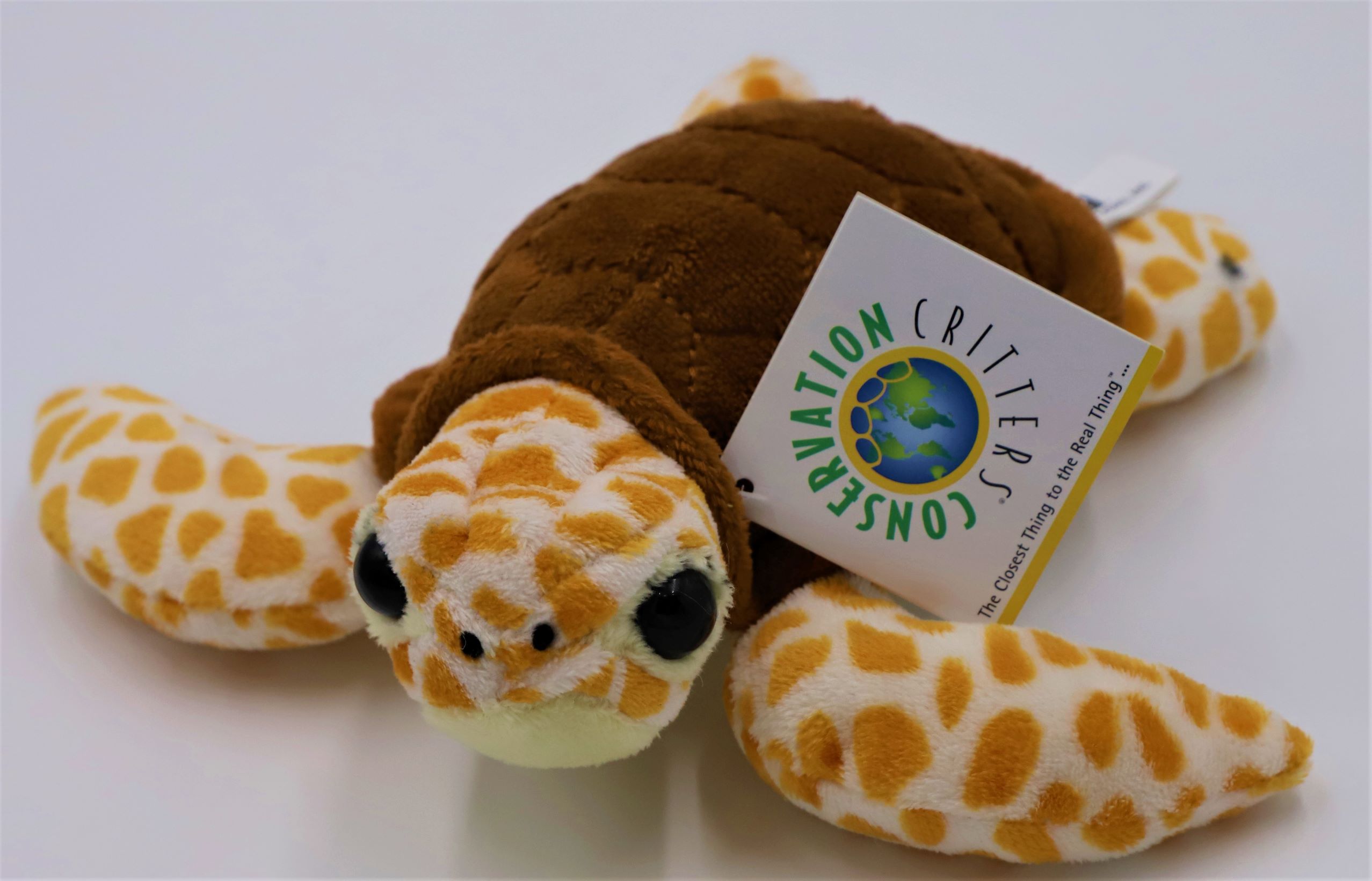 Conservation Critters-Loggerhead (small)