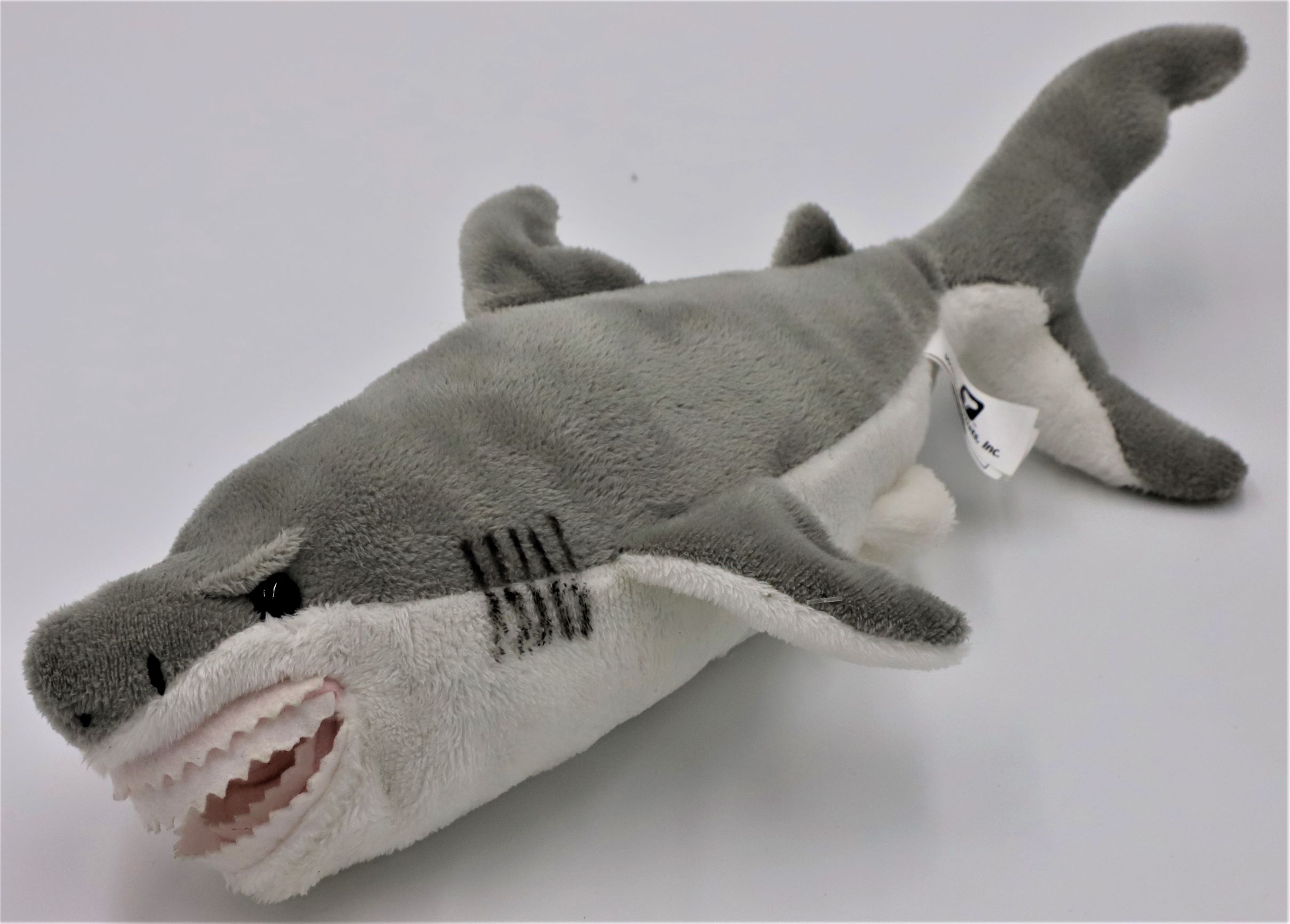 Conservation Critters-Great White Shark