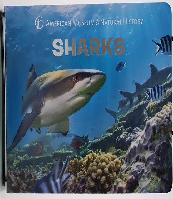 Sharks: American Museum of Natural History