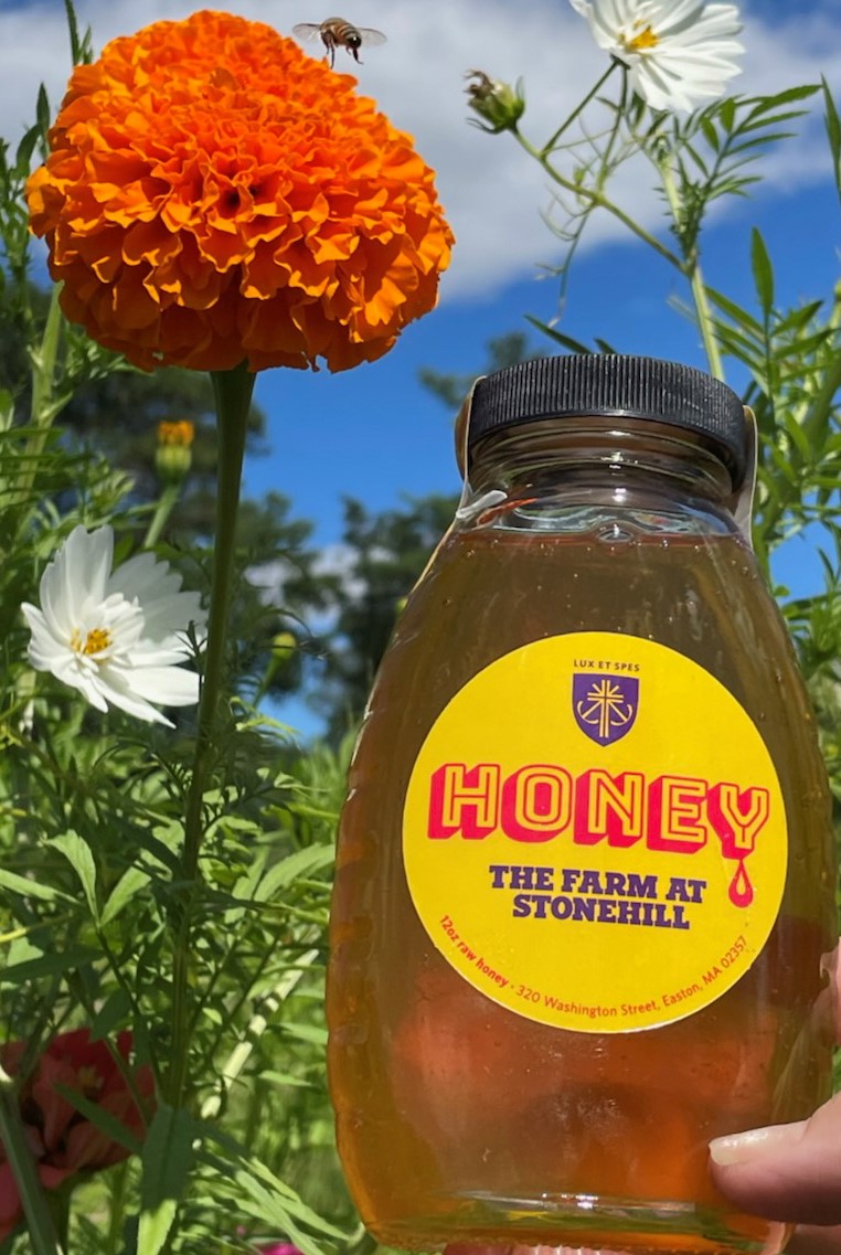 Farm Honey: Autumn's Ambrosia