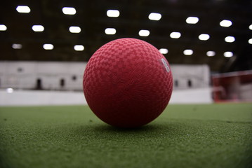240_F_131414139_XfGBqPRJFM9Y640Qsa9RfIOWMNJKCDOa.jpg