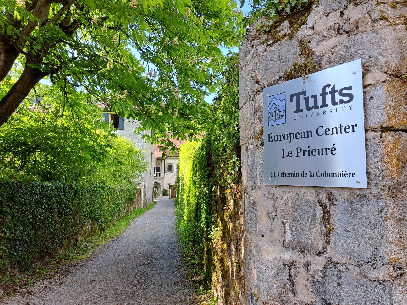 Application fee for Tufts Graduate Courses