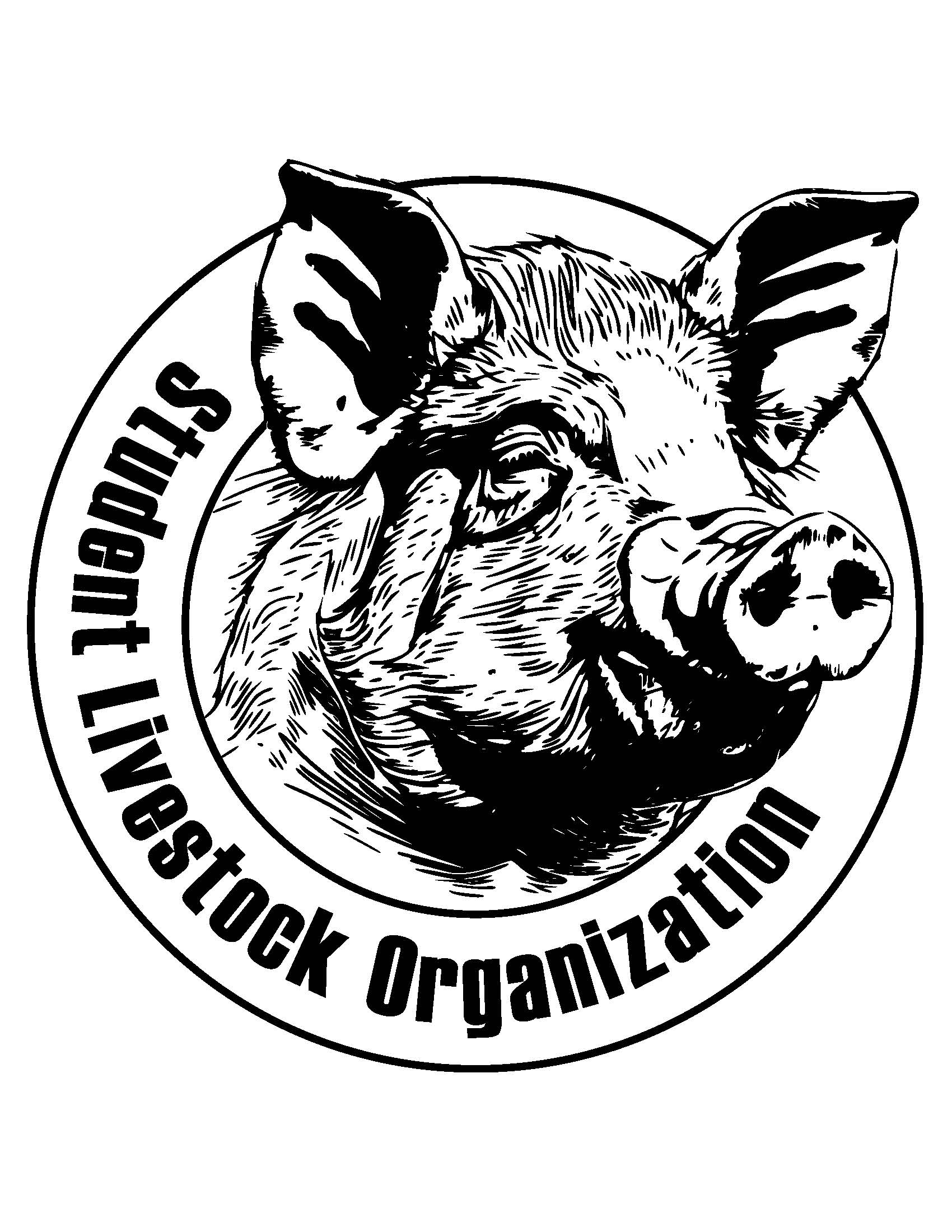 SLO Pig Sticker