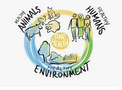 Students for One Health Dues 2025