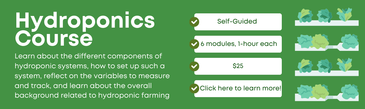 Hydroponics Course - Self Paced