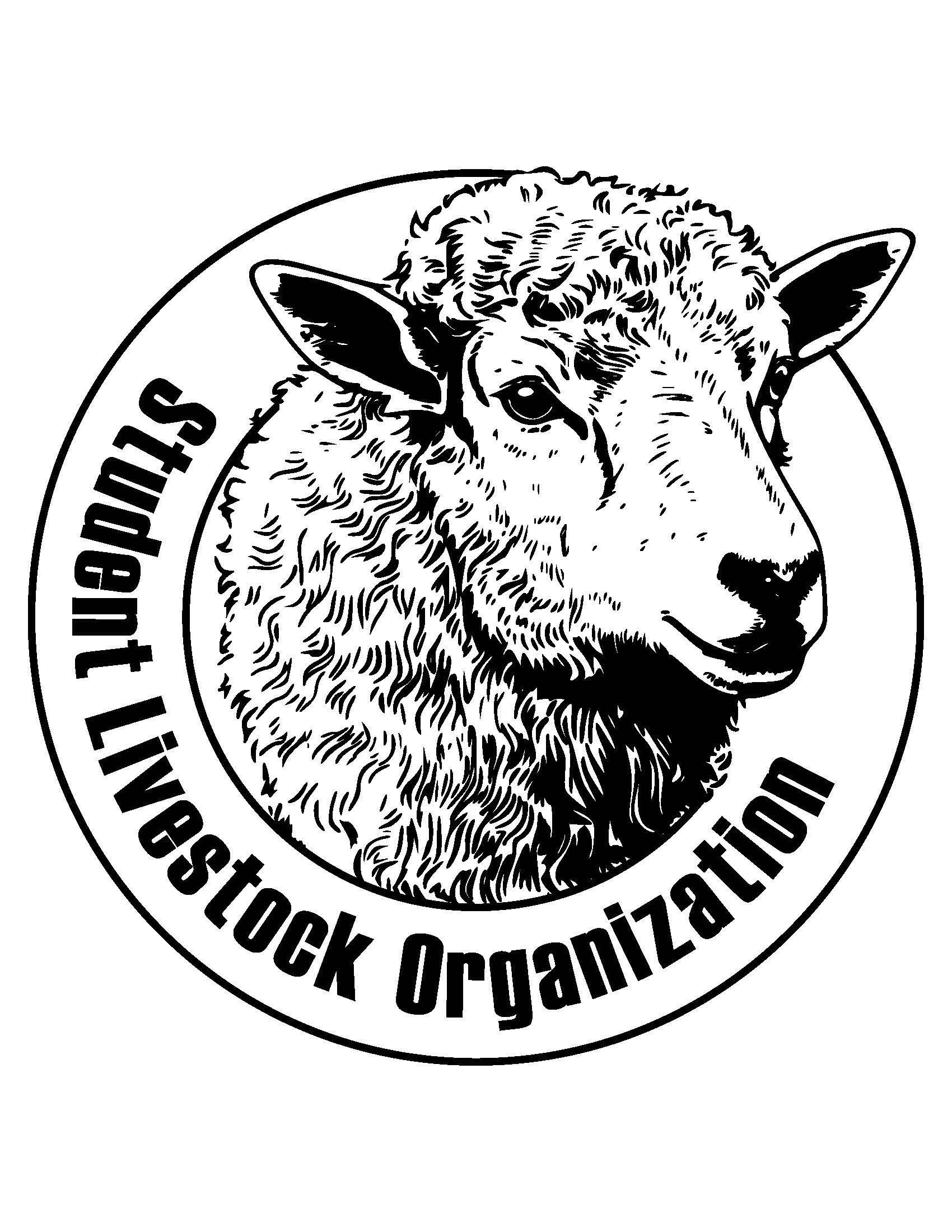 SLO Sheep Sticker