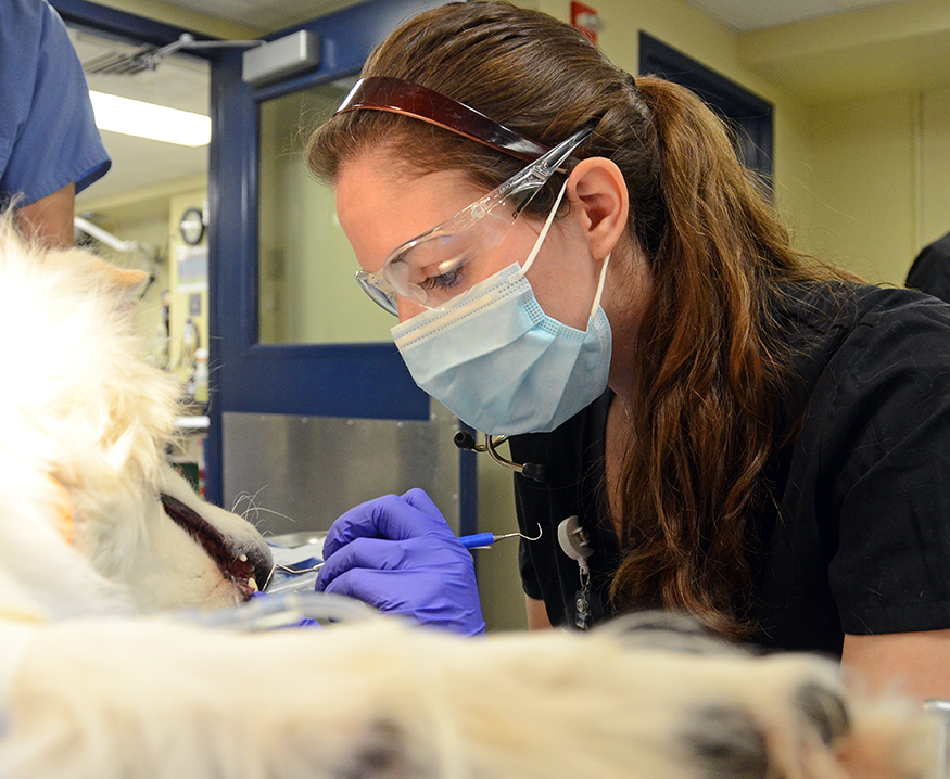 Intensive Learning Experience Dentistry with Lab March 18, 2018 10 CE