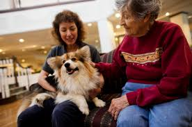 MANAGING RISK IN ANIMAL-ASSISTED INTERVENTIONS