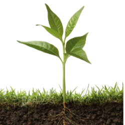 Soil Health Symposium