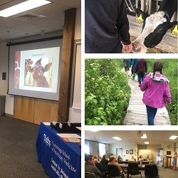 Animals & Society Short Course 2019