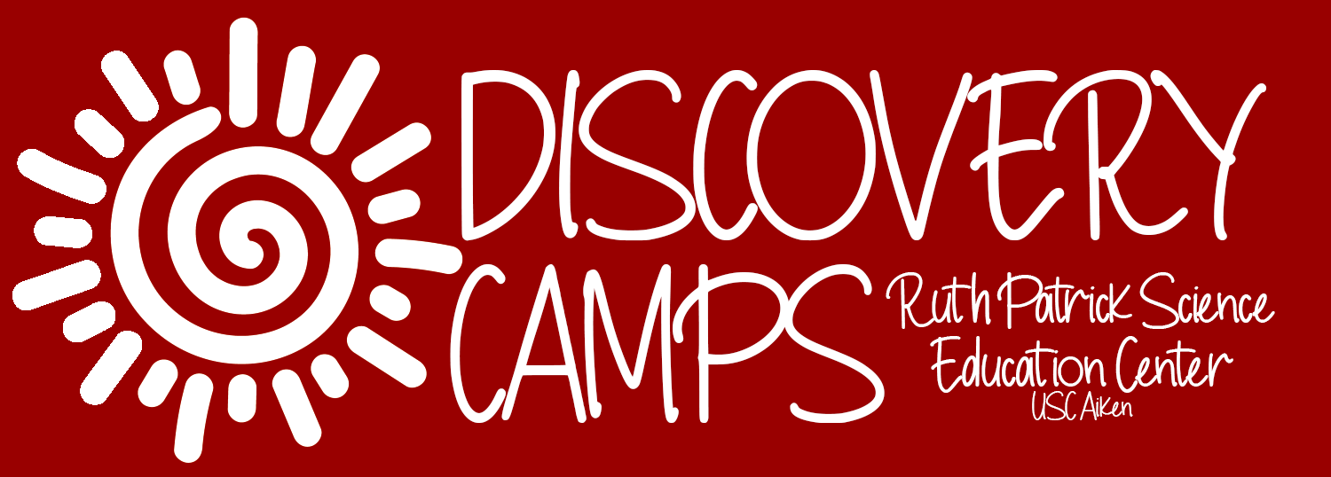 Camp Logo