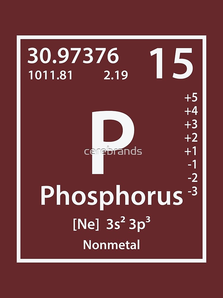 Invoice Payments-Marine BioGeoChem Lab