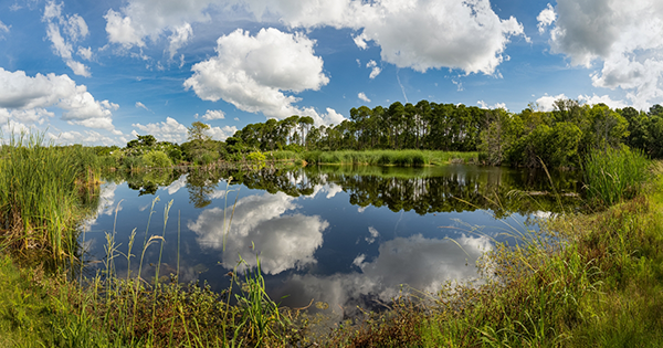 Pinckney Island Coastal Clean-Up & Exploration | September 7