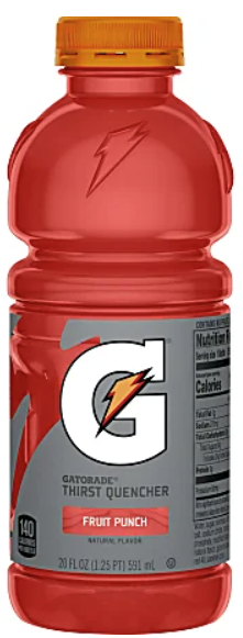 Gatorade Fruit Punch