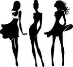 Fashion Show DVD