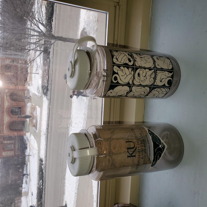 NHM Iconic Floor Nalgene