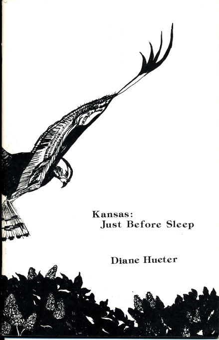 Kansas: Just Before Sleep