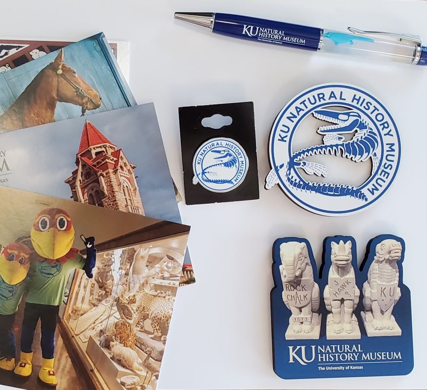 KU NHM Fan Bundle