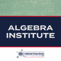 Algebra Institute