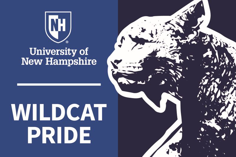 UNH Admitted Students Big Cat Lawn Sign