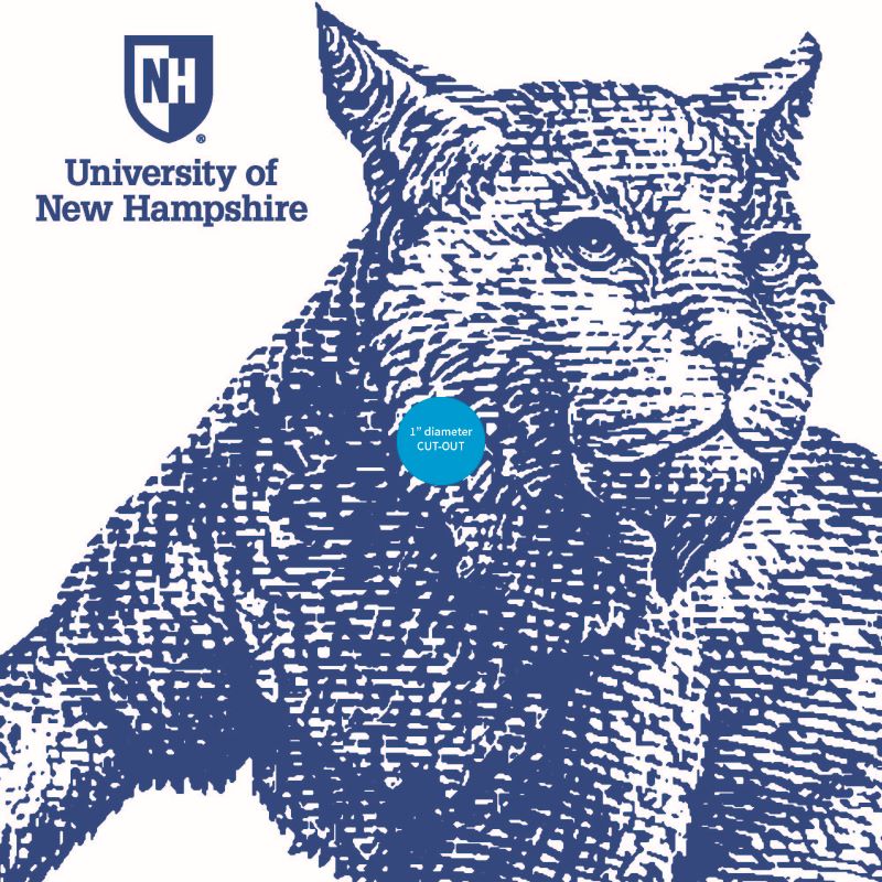 UNH Admitted Students Grad Cap Sticker Big Cat