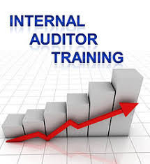 Internal Auditor Workshop