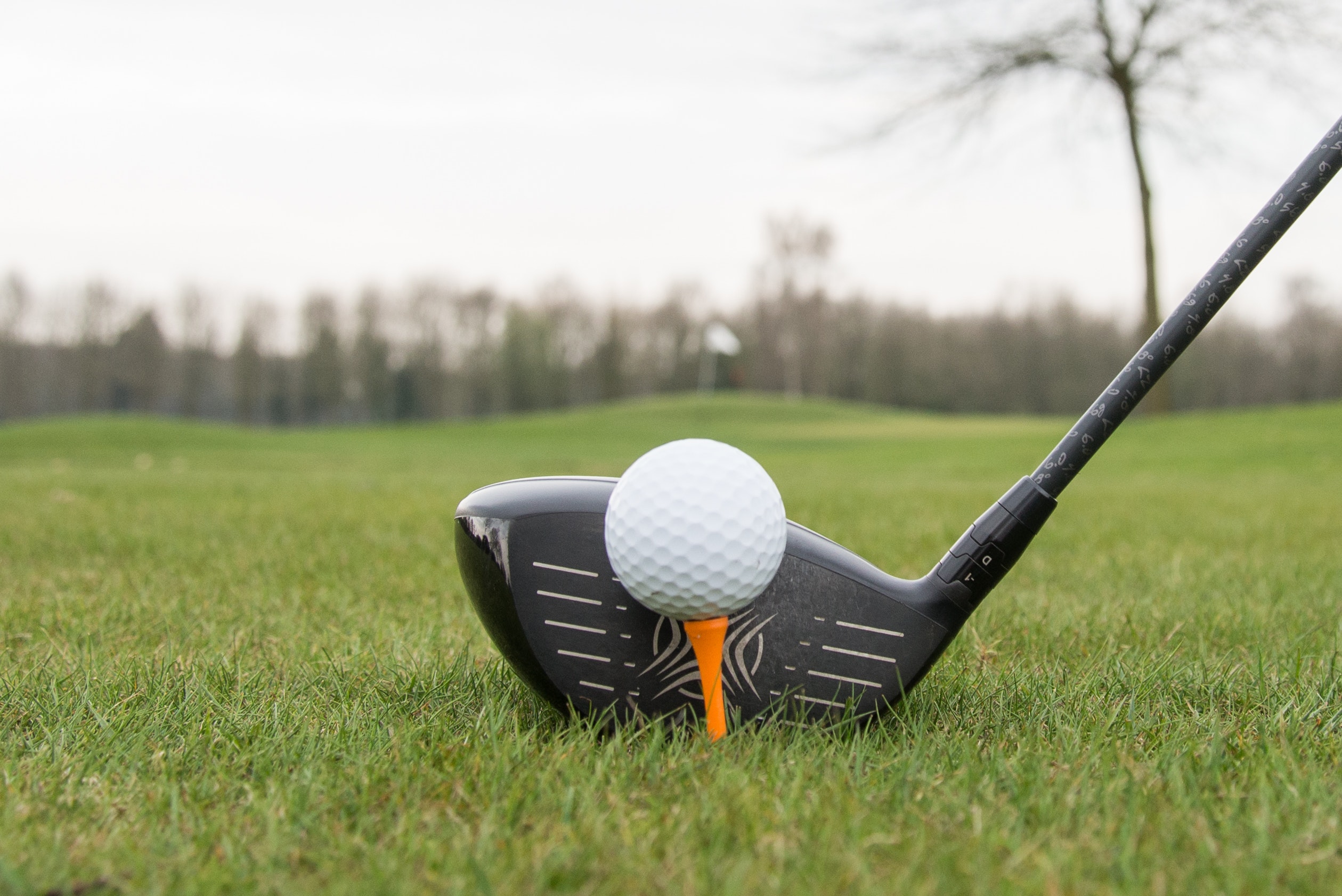 Entry Fee - Team (4 Golfers)